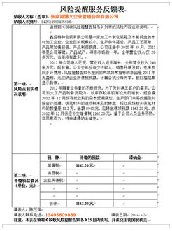 嘉荫税务服务
